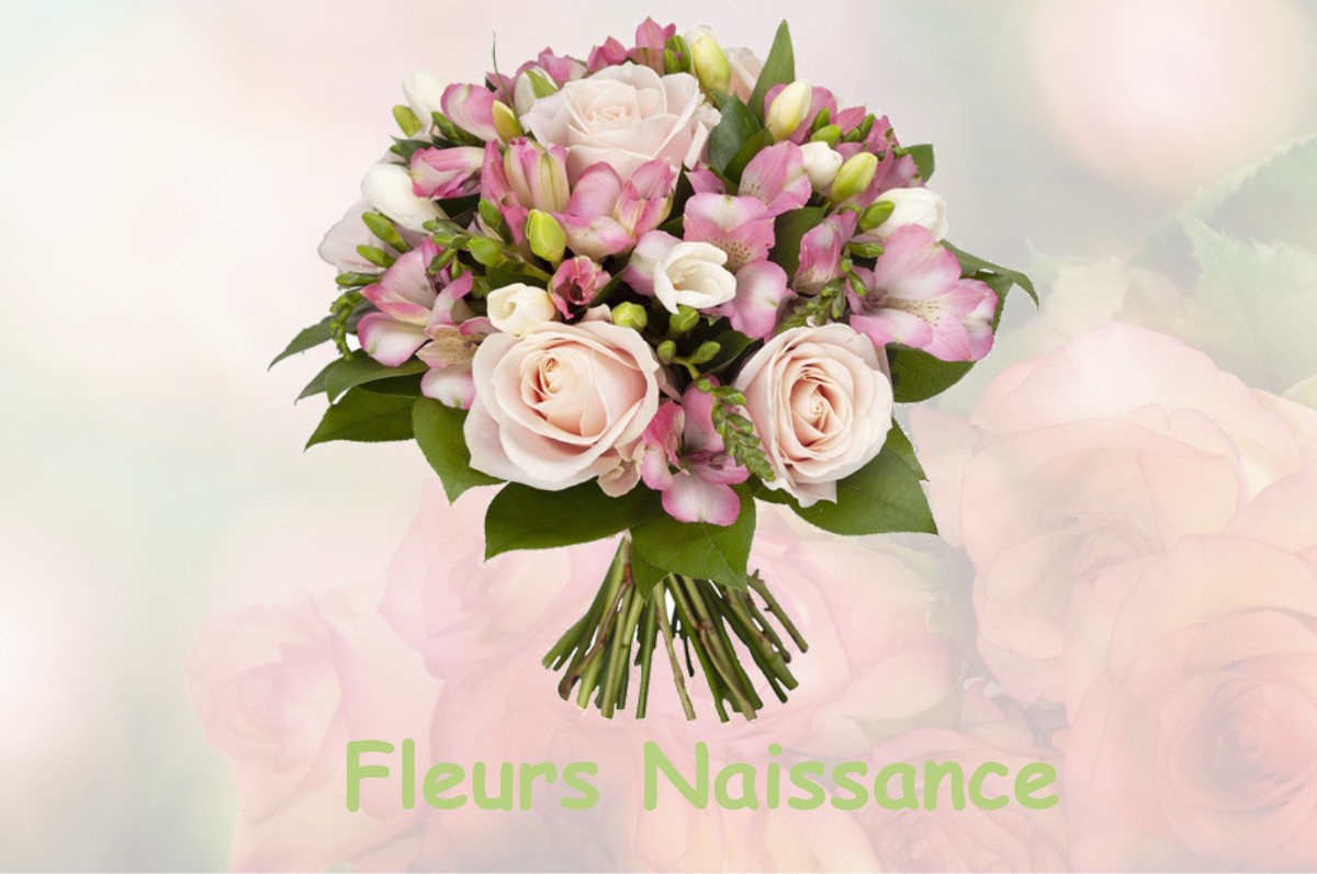 fleurs naissance BOURG-D-OUEIL