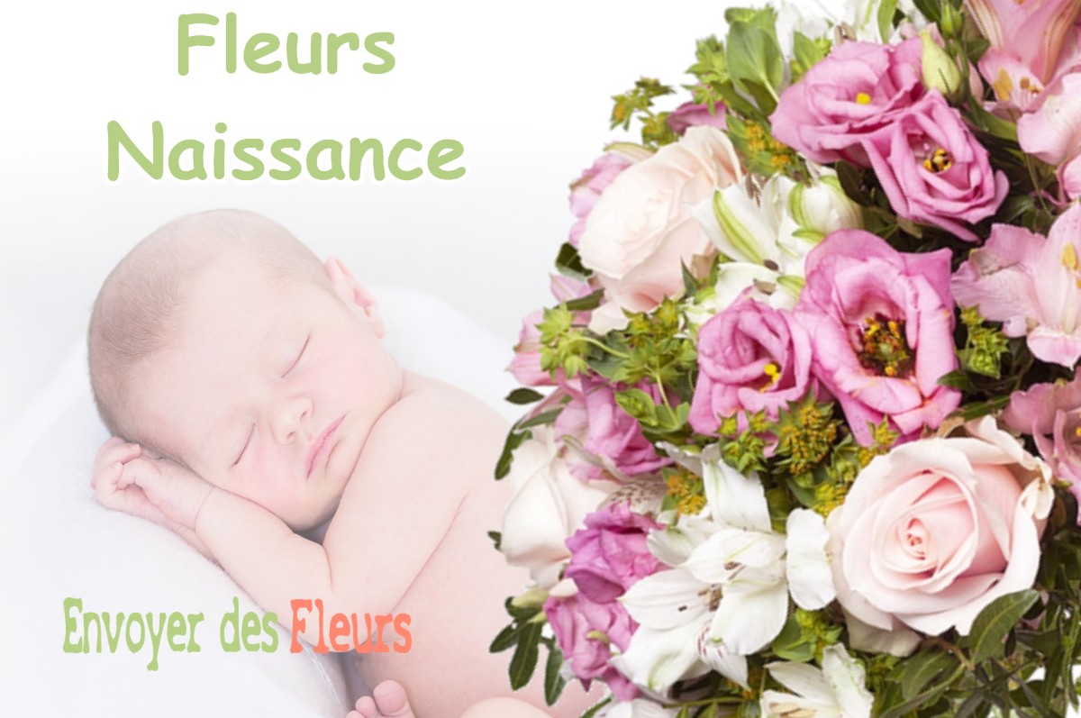 lIVRAISON FLEURS NAISSANCE à BOURG-D-OUEIL